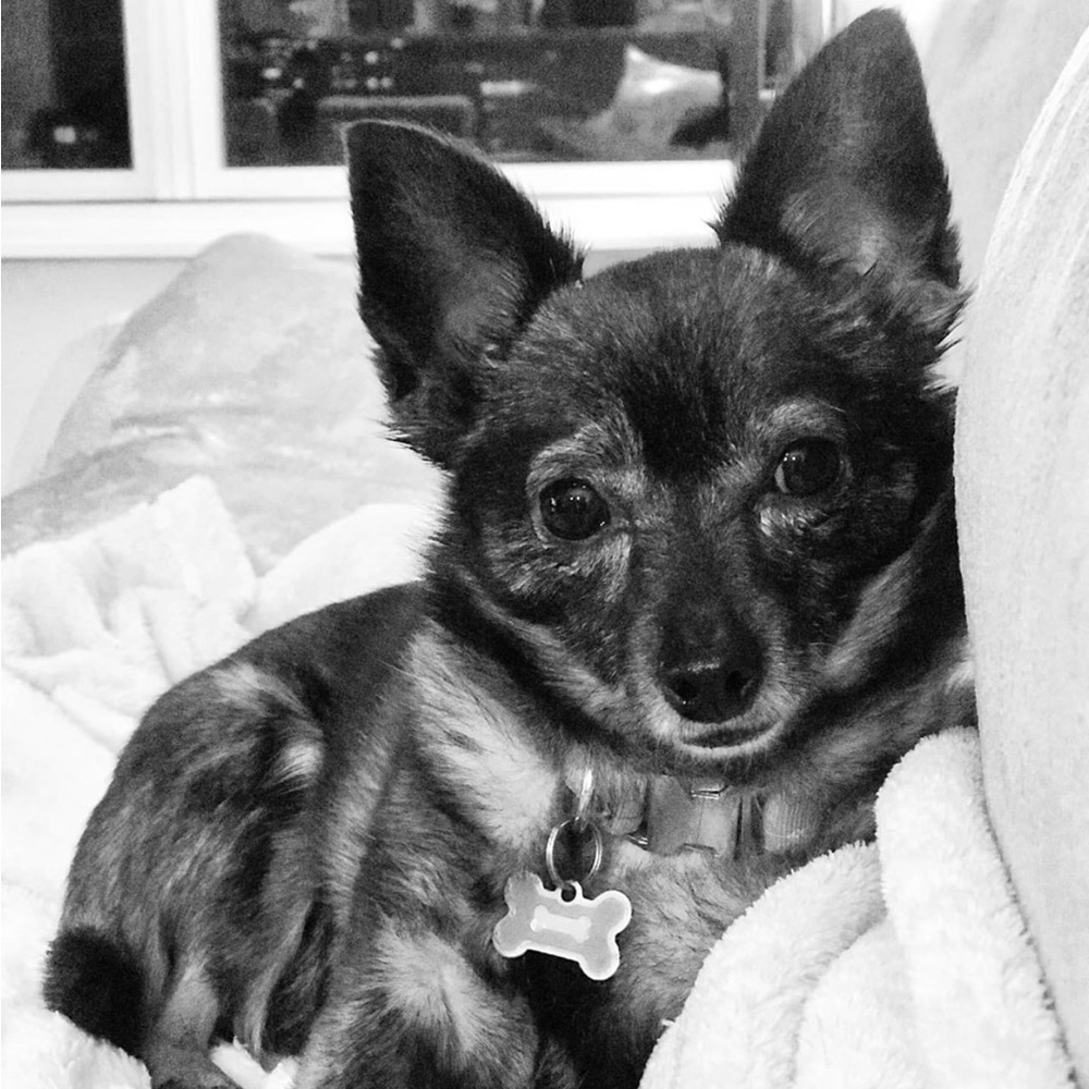 Meet your Posher, Channing